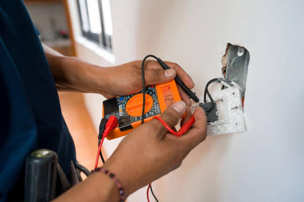 Best Electric Panel Repair  in Fort Denaud, FL
