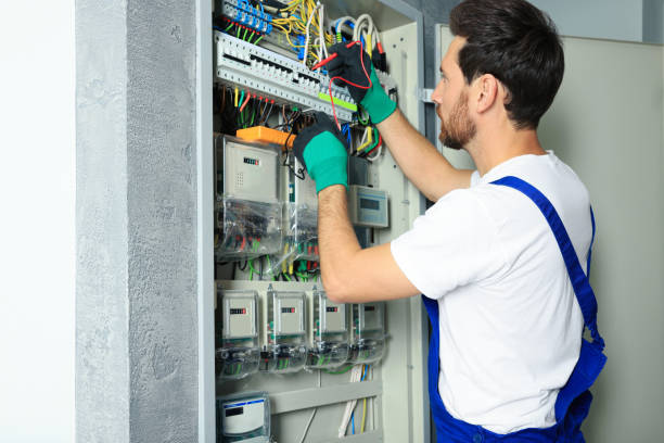 Best Local Electrician Companies  in Fort Denaud, FL