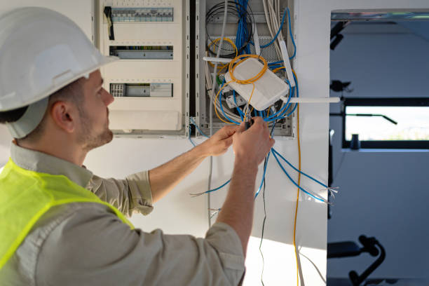 Best Electrical System Inspection  in Fort Denaud, FL